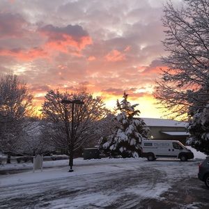 Meet your Posher, Tanner